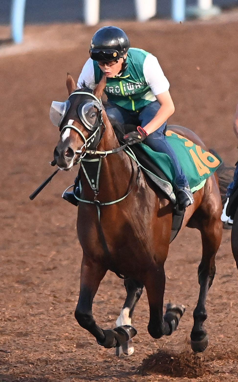 【新馬戦】レイヒストリコ　素質十分　近親に１４年桜花賞馬ハープスター　黒岩師「長くいい脚を使える」中山もフィット