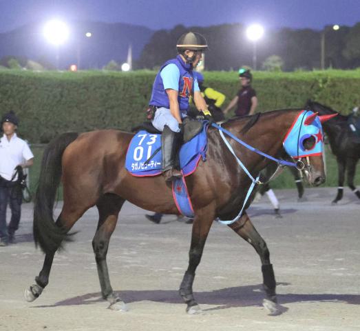 2024年JBCスプリント勝ち馬タガノビューティーが現役引退　今後は種牡馬に　西園正調教師「最も印象に残る馬」