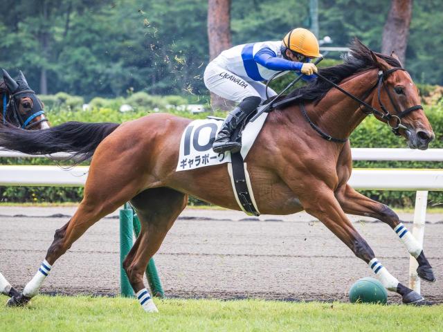全兄はNHKマイルC覇者のダノンスコーピオン ギャラボーグが2戦目で確勝期す