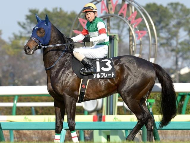 ⑥◆　競馬　JRA　◆　ジャンタルマンタル　◆朝日杯フューチュリティ◆２種セット 朝日杯FS】ジャンタルマンタル無傷の3連勝V 「牝馬の高野