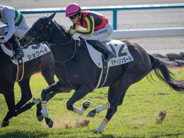 リバティアイランドのきょうだい2頭 阪神＆中山で同日Vなるか