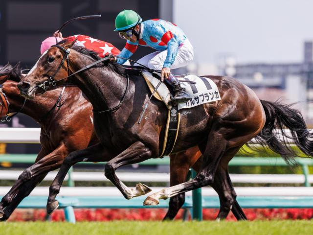 【御宿特別】半兄は名馬イクイノックス ガルサブランカが3勝目なるか