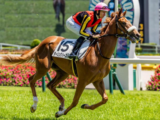 半兄はダート王のフォーエバーヤング ダーリングハーストが2戦目で決めるか