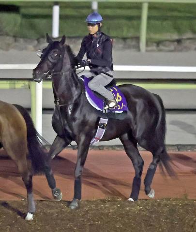 日本ダービー2025 優勝馬　クロワデュノール 日本ダービー】クロワデュノール完勝！1番人気→3番人気→6番