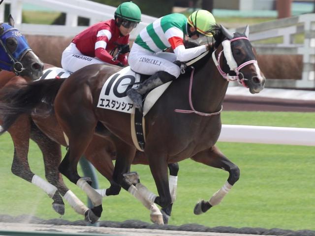 半姉は2歳女王のレシステンシア エスタンシアが念願の勝ち上がりなるか