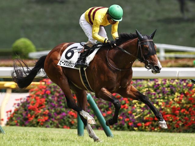 【特大】ジャングルポケットぬいぐるみ　2001年日本ダービー馬 特大】ジャングルポケットぬいぐるみ 2001年日本ダービー馬