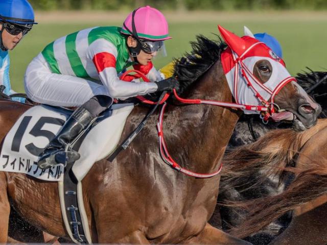 【新涼特別】半姉は名牝マルシュロレーヌ フィドルファドルが連勝狙う
