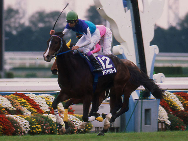 期待の良血馬が初タイトル アドマイヤグルーヴが制した03年ローズS