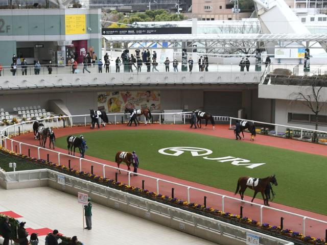 中内田充正厩舎の100万ドルホース ウェイニースーがデビュー勝ちなるか