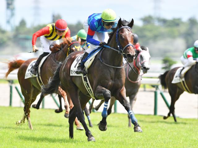 東京スポーツ杯2歳ステークス2024結果情報】クロワデュノールが
