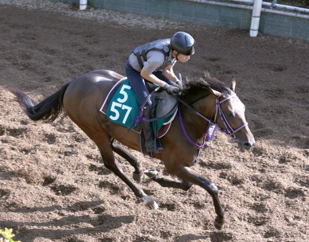 【POG】2013年の2冠牝馬メイショウマンボの初孫・メイショウボンテンが13日デビュー　鞍上は武豊騎手