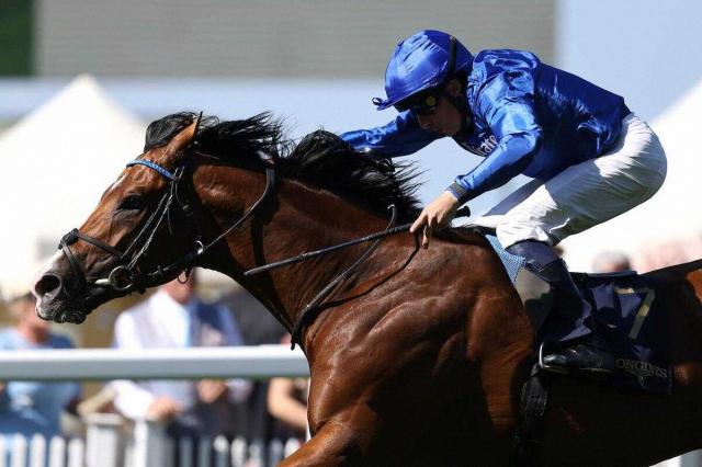 インターナショナルS覇者オンブズマンが世界ランク単独首位　ビザンチンドリーム16位　第7回中間発表