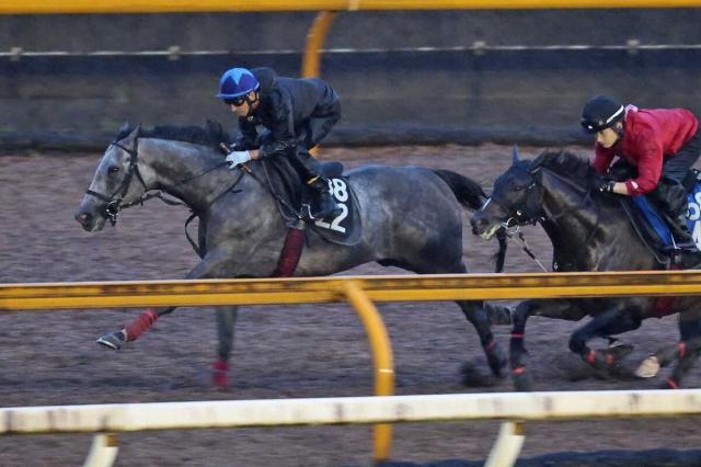 第41回ジャパンカップ　全出走馬のストラップ sddefault.jpg
