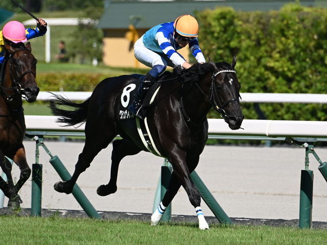 ジャパンカップ2024】出走予定馬・レース概要・日程・歴代優勝馬