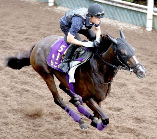 【ローズS】オークス馬カムニャックは6枠11番　NHKマイルC3着チェルビアットは4枠8番　枠順確定