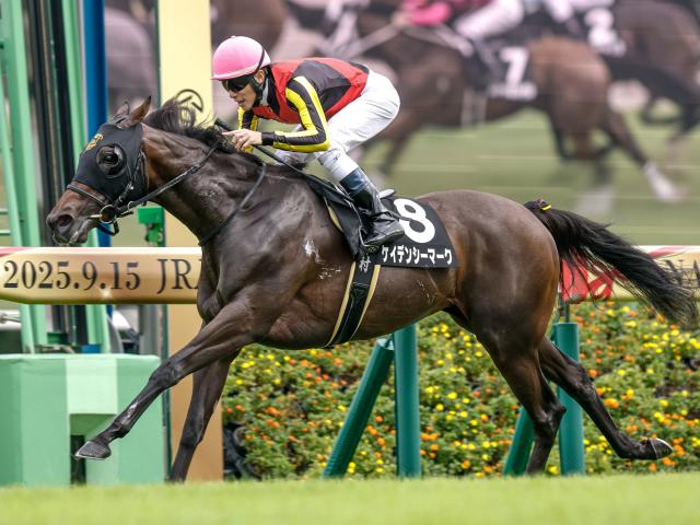 【御宿特別レース後コメント】ケイデンシーマーク津村明秀騎手ら