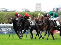  ڥץ󥹥ɥ󥸥ޡۥӡϥǥΡ뤬Ƴĩǽžޣ֡ޤƤߡ¼ּͧ˸Ƥˣʳ餤夲ƤС