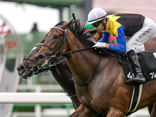 ハーツクライの軌跡 2005年有馬記念を制覇 スターを下した叛逆の