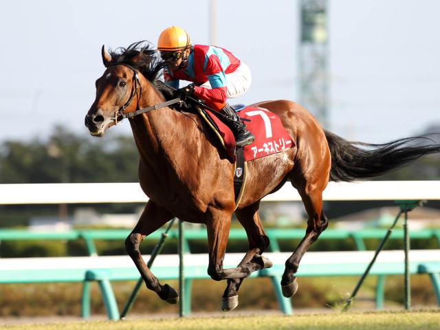 1位はグランプリホースの快勝劇 オールカマーの勝ち時計ランキング