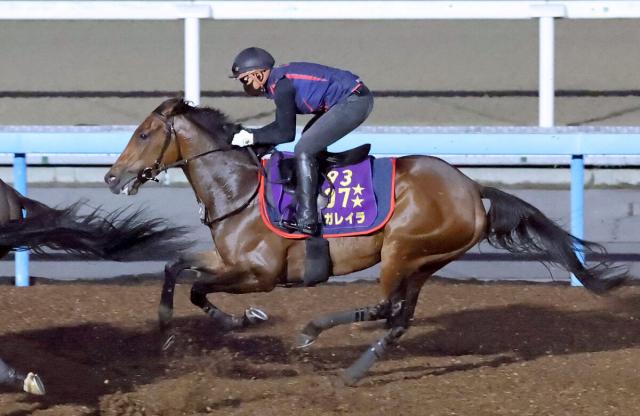 【オールカマー】レガレイラは全休日も馬場入りして元気に登坂　巻き返しへ陣営「弾みがつく競馬を」