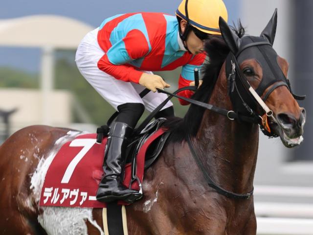 【神戸新聞杯】フランケル産駒が4年ぶりのJRA重賞制覇なるか デルアヴァーが強敵撃破狙う