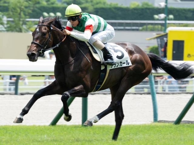【野路菊S】母は名牝シンハライト アランカールが無傷の2連勝なるか