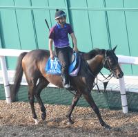  �ڥ����륫�ޡ��ۥꥫ�󥫥֡��뤬���դ��滳�Ǵ����֤��إѥ�ե�˲�®����������2���ܤǾ��Ѥߤ�