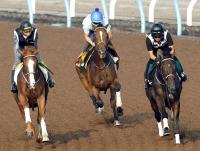  �ڥ����륫�ޡ��ۥۡ����꡼�Ȥ�W�������Ǽ��ʥ٥��ȡ�����Ĵ���աֻ��ס�ư���Ȥ�˿���ʬ�ʤ���