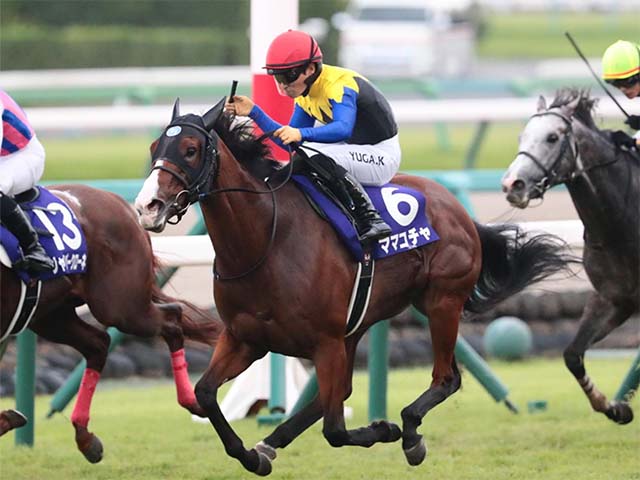 【スプリンターズS】JRA現役に残り3頭のクロフネ産駒 ママコチャが史上初の隔年制覇なるか