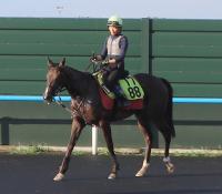  ư2Сۻ2S9ΥݥڥåȤϥե󥿥Sؤλ