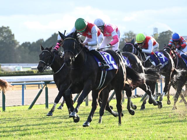 ◆　競馬　JRA　◆　アスコリピチェーノ　◆阪神ジュベナイルフィリーズ◆セット◆ 2023年 阪神ジュベナイルフィリーズ（GⅠ） | アスコリ