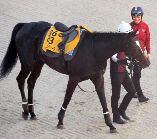 【注目馬動向】新潟記念除外のクイーンズウォークは回復順調　牡馬相手の天皇賞・秋参戦へ