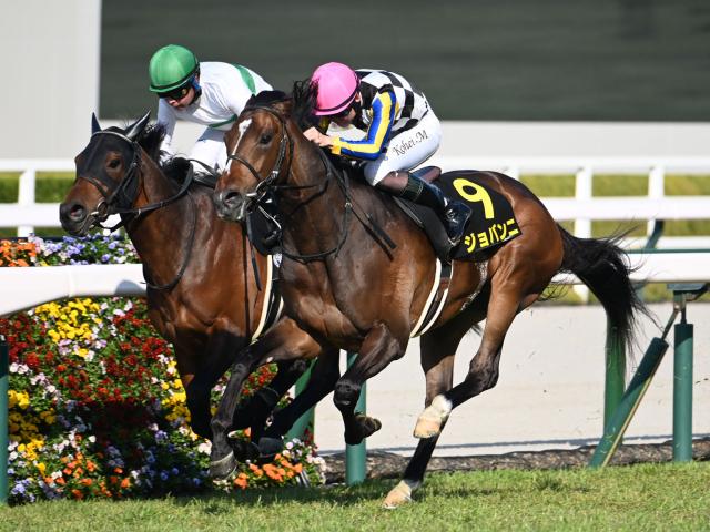 皐月賞2024結果情報】無傷3連勝でジャスティンミラノが勝利
