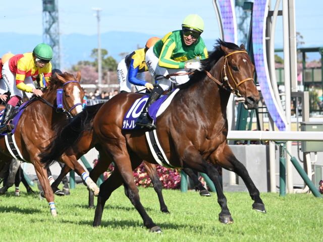 【有力馬動向】サトノレーヴ、文句なし！ モレイラを背に絶好の動き披露/馬三郎のつぶやき