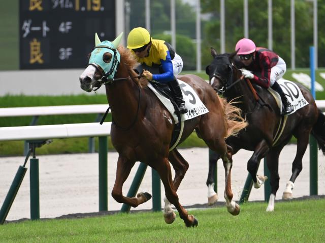 【POG】ダイヤモンドノットはもみじSで連勝を狙う/馬三郎のつぶやき