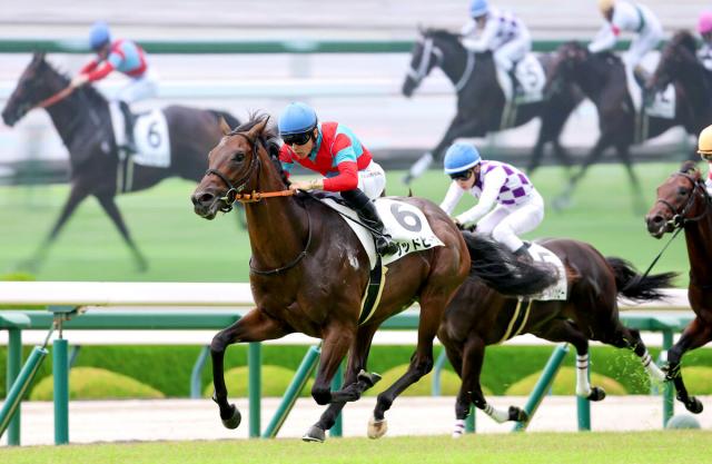 ナリタブライアン たてがみ ナリタブライアン｜名馬メモリアル｜競馬情報ならJRA-VAN