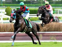  �ں��������S�ۥͥӡ������ब�쵳�Ǥ����������滳��㳲�˸������Ҳ���������ֽ���ʬ�˥���󥹤������