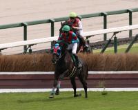  �ں��������S�ۥͥӡ������ࡡ�㳲�ž޽����ơ����ҡ��������󥹤Ͻ���ʬ�ˤ����