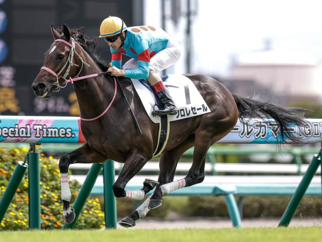 ■現地的中単勝馬券■ ハーツクライ 2005年　有馬記念 ドウデュース □現地的中単勝馬券□ ハーツクライ 2005年 有馬記念