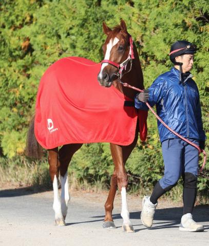 ジャパンカップ(G1)データ】 外国勢3頭は優勝すれば300万ドル、2