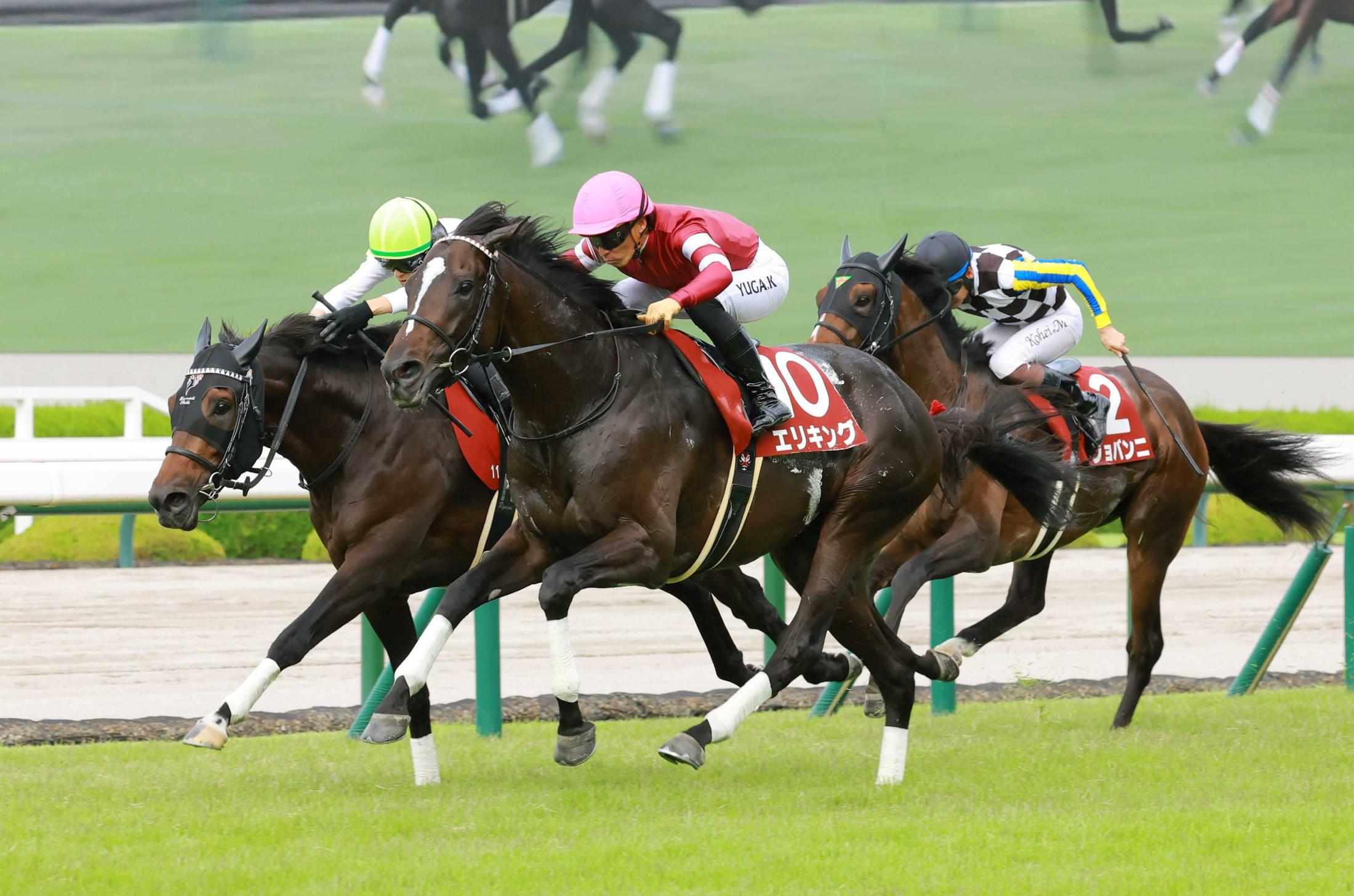 【神戸新聞杯】エリキング大外一気で圧巻Ｖ　上がり３Ｆ３２秒３！すさまじい加速力　ひと夏越して心身成長　いざ菊の舞台へ