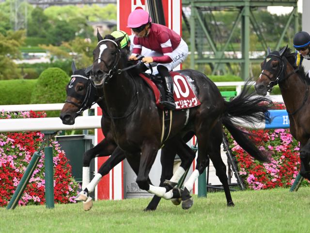 【神戸新聞杯】売上は52億3145万600円で昨年より約7.7億円減少