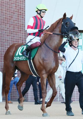【スプリンターズS・浅子の特注馬】8歳でも侮れない　ウインカーネリアンは条件がかみ合えば奮闘可能