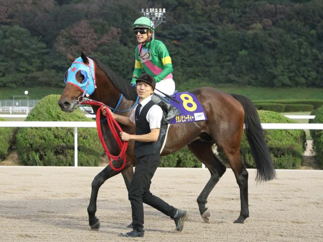 【先週のJRA抹消馬】JpnI馬タガノビューティー、ダート短距離で活躍のルクスメテオールなど