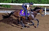  ڥץ󥿡Sϡ۶ǥϪȥΥ졼餱륷󤬥᡼Ǥʤ