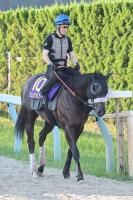  ڥץ󥿡S4ǯϢ³Υʥ饯쥢G1رġ֤ĤǤ֡