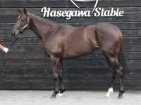  ڥץ󥿡Sۥʥ饯쥢100!դä齼¤ʢꡢƤ˶