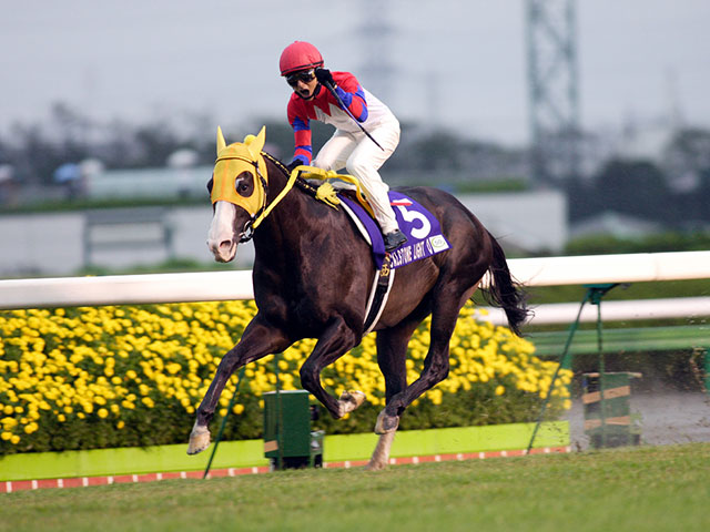 スプリンターズS着差ランキングTOP5 1位タイは4馬身差の圧勝