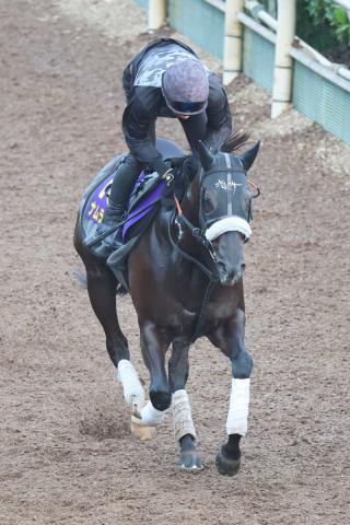【スプリンターズS】ナムラクレアは悲願のG1初制覇へ万全　長谷川調教師「現状では言うことがない」