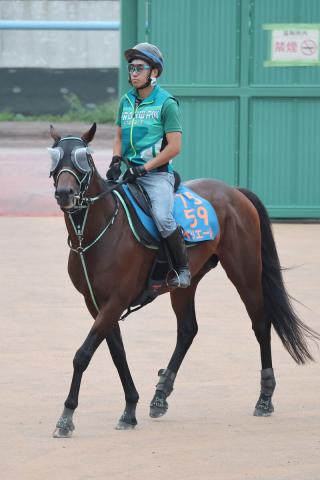 【注目馬動向】3連勝でエルムSを制したペリエール　重賞連勝めざして武蔵野Sへ